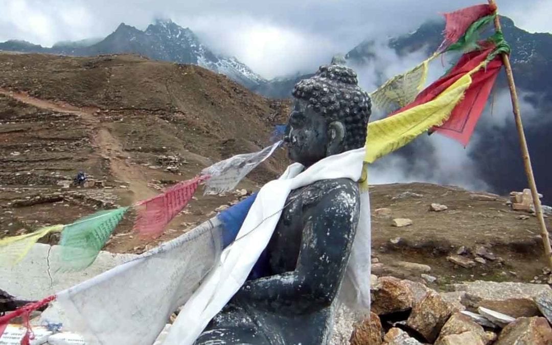 Himalayan Yoga & Nature Retreat 2020